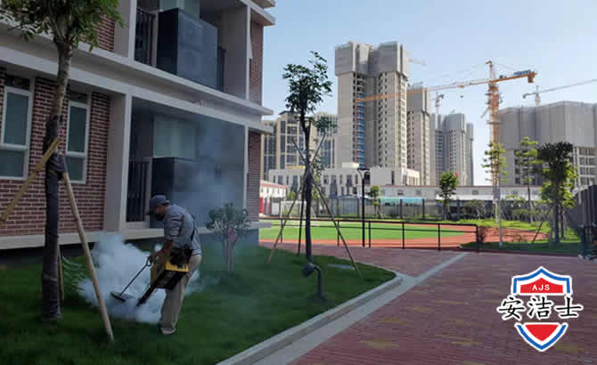 钱塘区工厂工地除白蚁